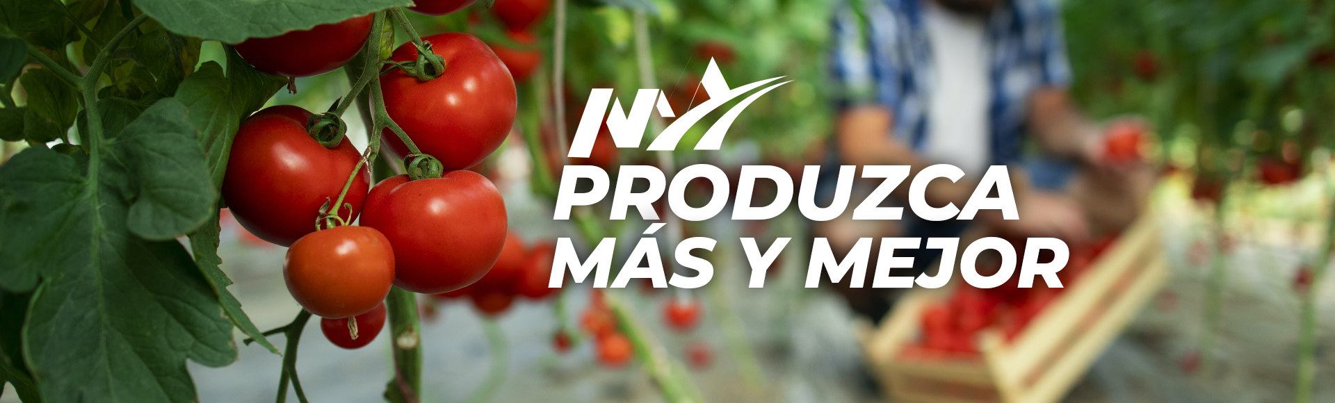 Produzca Más y Mejor